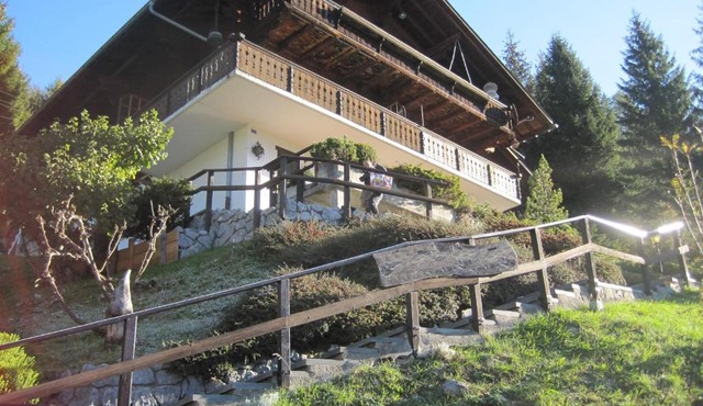 Chalet Erica