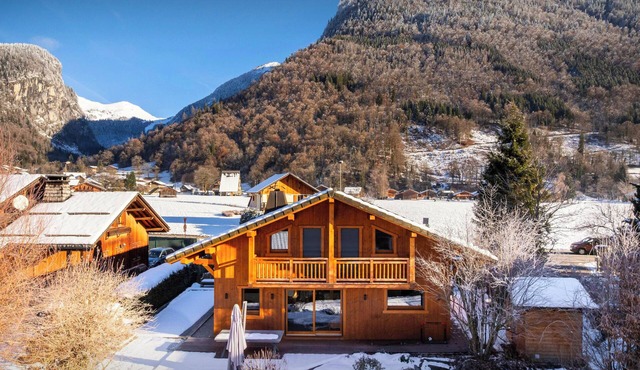 Chalet Evonyx - family mountain holiday 12p with spa - OVO Network