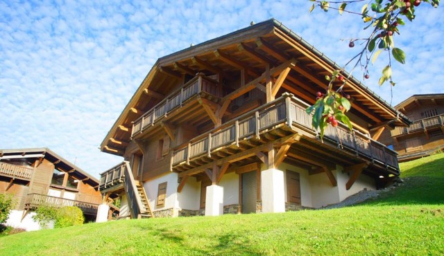 Chalet F1113 Megeve 10-12 pers