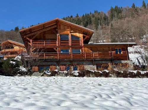 Chalet face au Mont-blanc