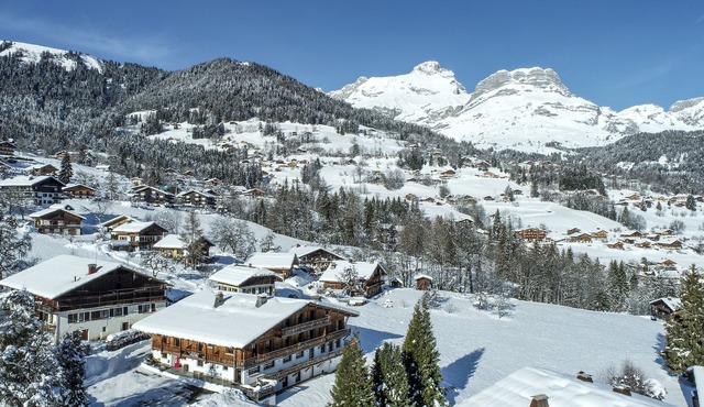 Chalet facing Mont Blanc for 45 people ideal for large groups