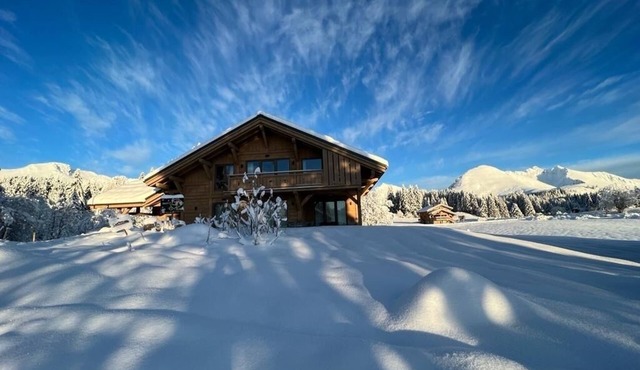 Chalet Familial vue Mont Blanc à 100m des Pistes de ski