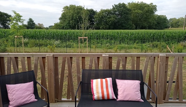 Chalet for 6 people, quiet location, swimming pool/wellness area, near Capbreton/Hossegor