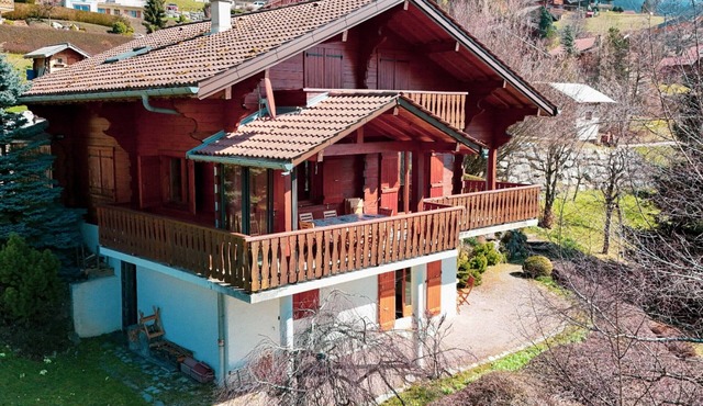 Chalet for up to 16 guests in Bernex, pets welcome