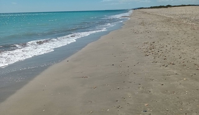 Chalet Dans Camping Avec Piscine, à 5 min de la Plage