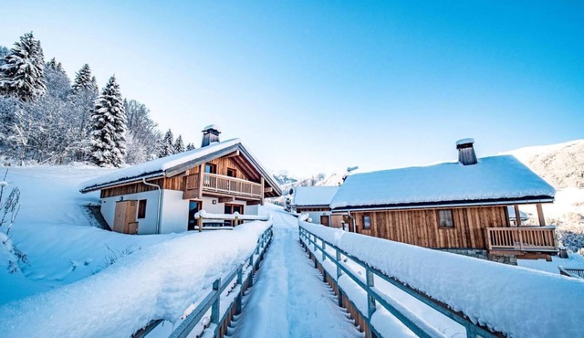 Chalet, Ground floor, view mountain, terrace, balcony, fireplace or stove, tv, ski locker, 76m²