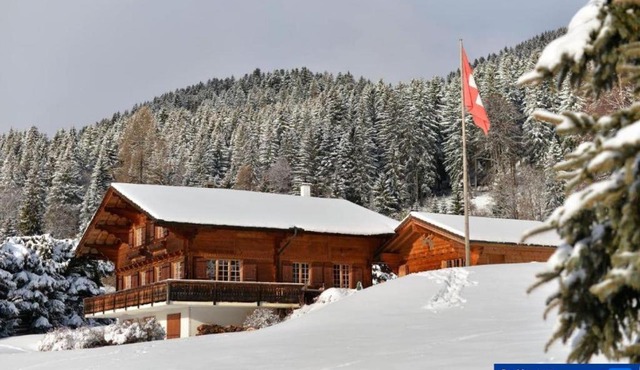 Chalet Gentiane des Neiges, near to the Aiglon college
