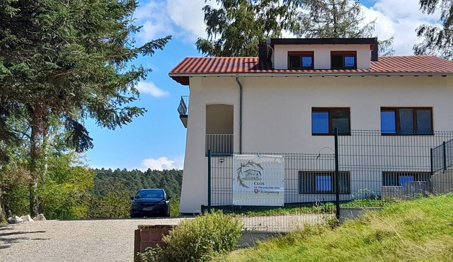 CHALET - GITE 15 PERSONS ALSACE- ACCOMMODATION WITH SAUNA ALSACE