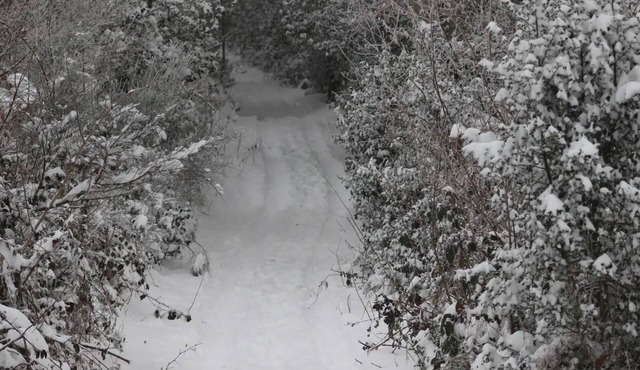 Chalet 'Gite Du P'tit Fermier' with Mountain View, Shared Pool and Wi-Fi