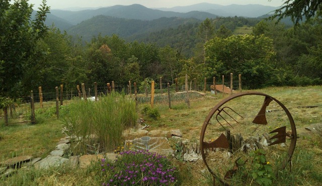 Chalet Habitat Autonome Alternatif Dans les Bois