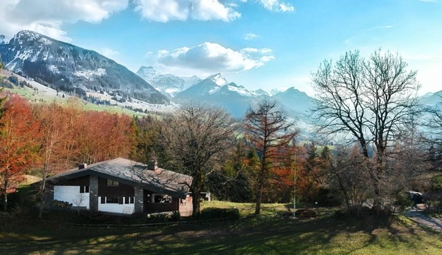 Chalet Halteweidli