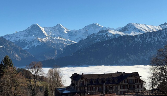 Chalet Heide - Holiday apartment for 4 with fantastic alpine views in Beatenberg