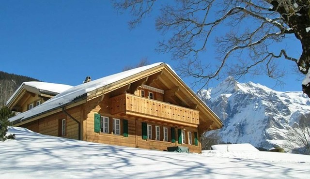 Chalet Herrschaft Apartment with 4 beds