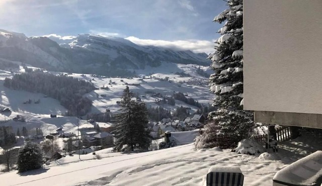 Chalet "Höckli" with mountain view