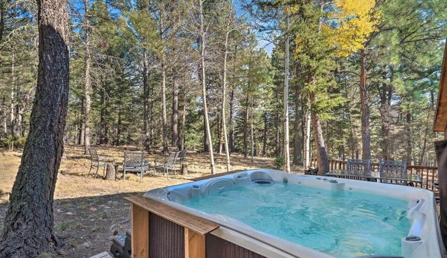 Chalet Home Angel Fire