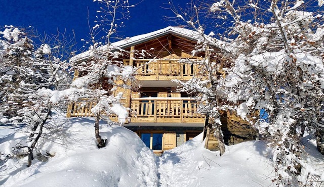 Chalet in 4 Vallées with Ski-In Access