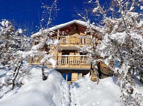 Chalet in 4 Vallées with Ski-In Access