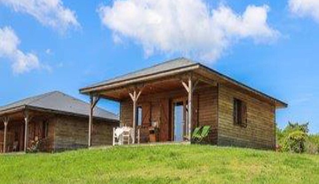 Chalet in France with Forest Views