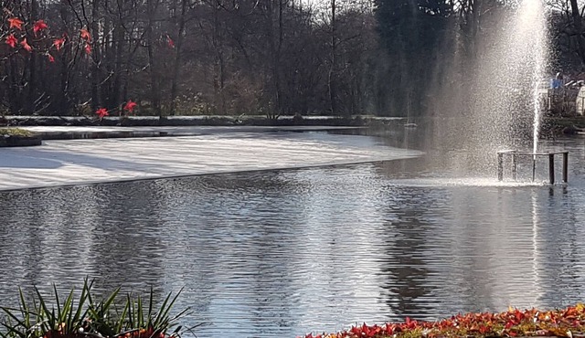 Chalet in 3 Ha enclosed park with pond and wellness area