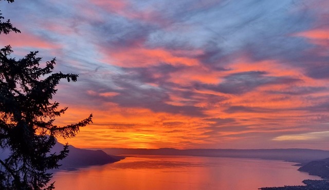 Chalet in Montreux mit Gartenhaus, Jacuzzi, Sauna und Einmaliger Aussicht!