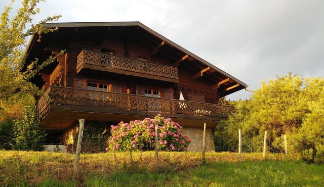 Chalet in nature overlooking Lake Geneva