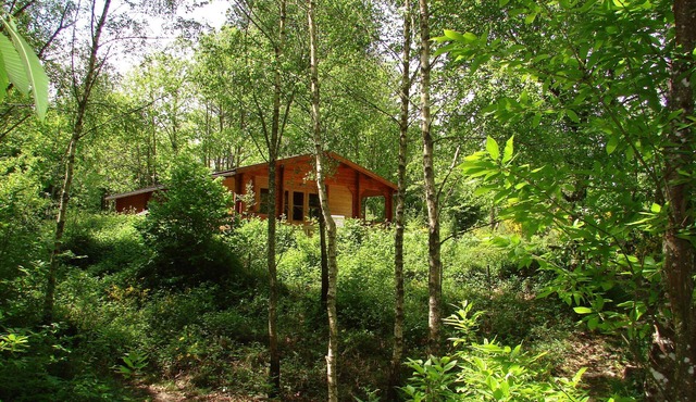 Chalet in the countryside