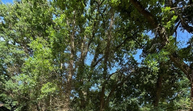 Chalet in the heart of the Fontainebleau forest