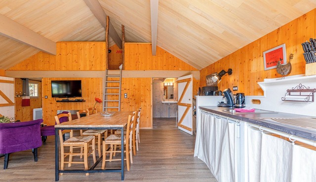 CHALET IN THE VINEYARDS, 5 minutes from Jonzac Antilles