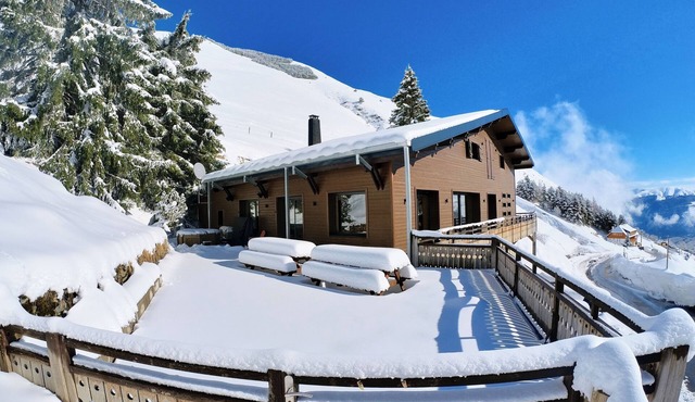 Chalet in the heart of the Pyrenees, at the foot of the slopes