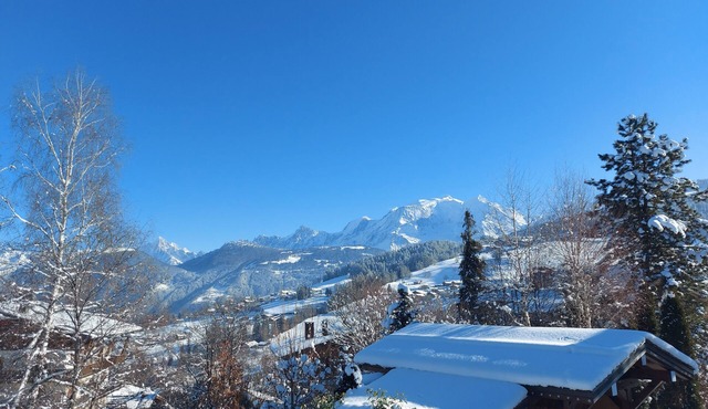 Chalet in the heart of the village of Combloux facing Mont Blanc