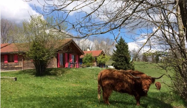 Chalet in the heart of nature near a farm with animals