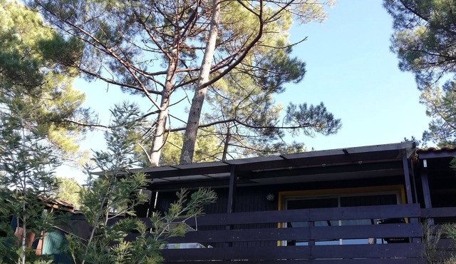 Chalet in the pines between lake and ocean