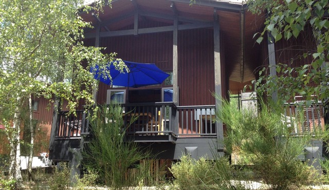 Chalet in the pines