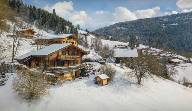 Chalet Isatys - family alpine stay for 9 with great views - OVO Network