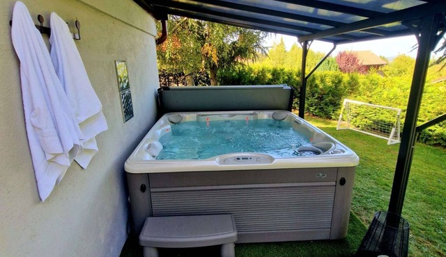 Chalet Jales in the heart of the Massif with SPA