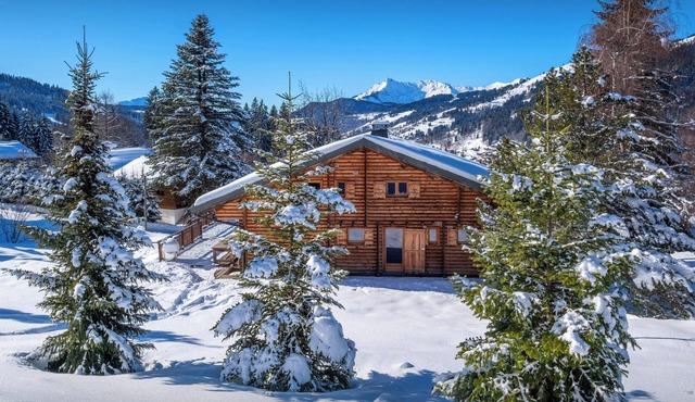 Chalet Joux Verte - beautiful ski base for 8 with spa - OVO Network