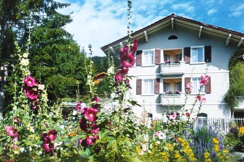 Chalet Julie in Villars-sur-Ollon