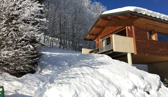 Chalet Les Clémentines, Le Bettex-Saint Gervais-Megève, close to ski slopes