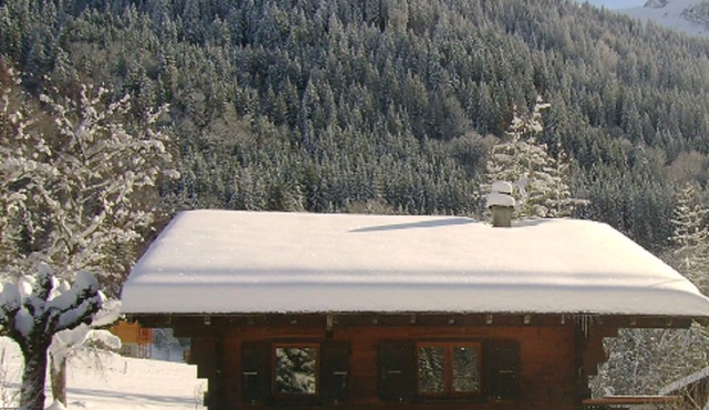 Chalet - La Ferriere