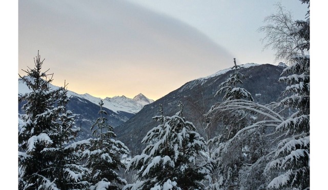 Chalet La Madelon ideal for large families