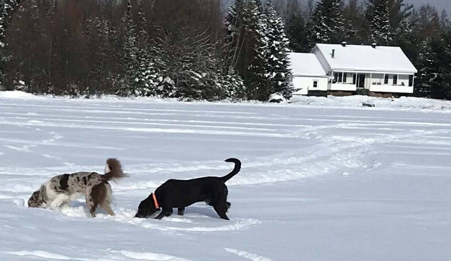 Chalet, Lac Supérieur, fireplace (incl. wood), SPA, 13 min from Tremblant.