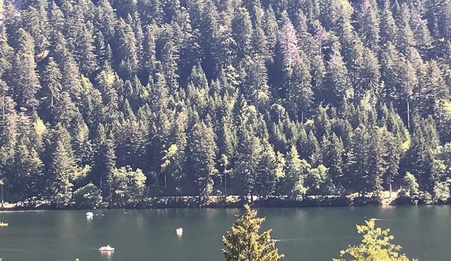 Chalet Lamartine with beautiful view near Gerardmer, sleeps 2 to 6, comfort wifi