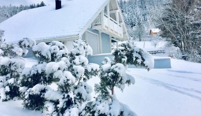 Chalet Le Flocon Bleu * 9 pers Mauselaine Ski Lake view sauna wifi Gérardmer