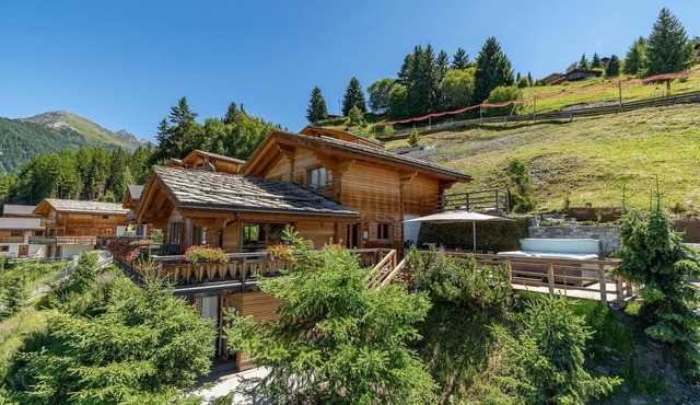 Chalet le Grand Ours - Jacuzzi Sauna Views Ski-In Ski-Out - La Tzoumaz, 4 Vallees
