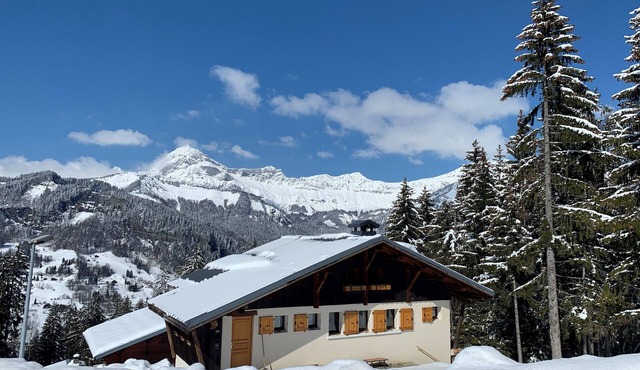 Chalet Le Remarquable, Crest Voland