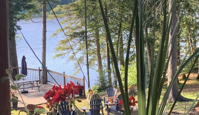 Chalet Le RustiChic