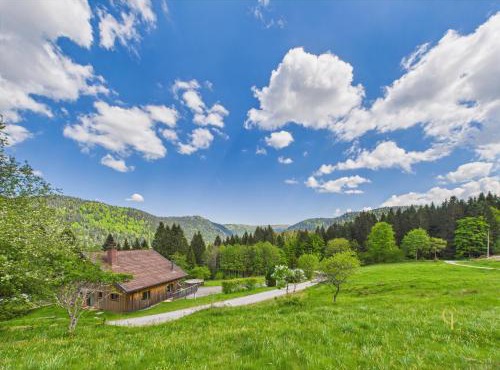 Chalet Les Plombes - isolé, Jacuzzi, Piscine