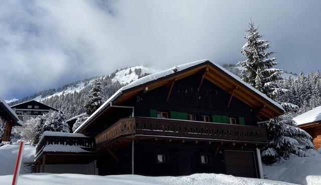 Chalet Les Ravaires, Morgins