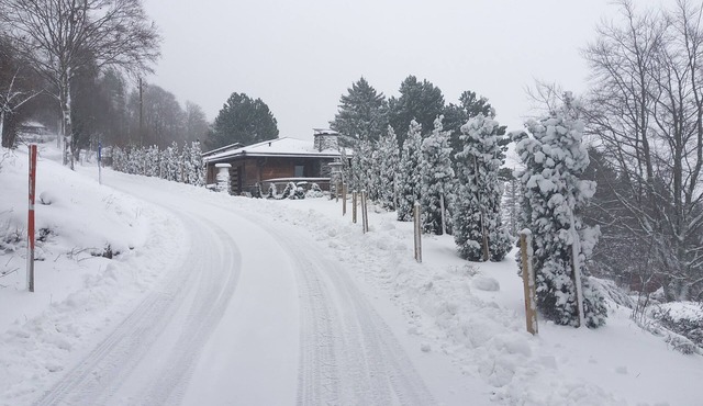 Chalet lovers in Switzerland