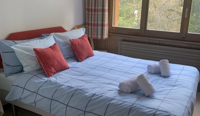 Chalet Majestic - Verbier, 3 bedroom apartment near the town centre super for family or small group